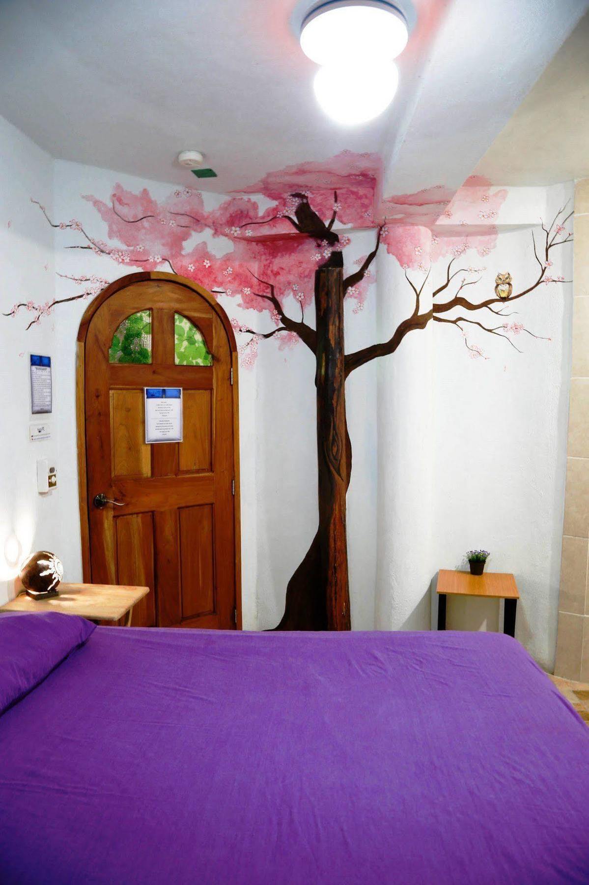 Hostel Natura Cancún Esterno foto